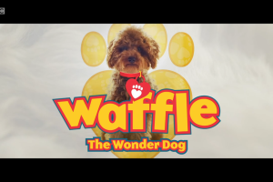 [英语动画]《Waffle the Wonder Dog神奇狗狗》[英文字幕][全1-4季共60集][17GB][百度网盘]